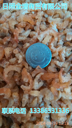 日照金增水產(chǎn) 冷凍帶魚塊段工廠直銷，優(yōu)質(zhì)批發(fā)首選