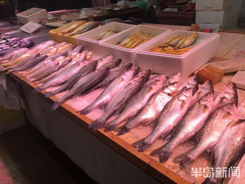 青島水產(chǎn)品交易遇冷，進(jìn)口水產(chǎn)停售，市場監(jiān)管部門嚴(yán)查進(jìn)貨來源