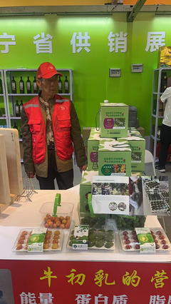 供銷優(yōu)勢聚合，農(nóng)特產(chǎn)品閃耀——宏偉區(qū)供銷社參展東北亞(營口)農(nóng)副產(chǎn)品展銷會(huì)紀(jì)實(shí)