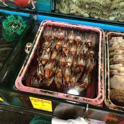 遠(yuǎn)洋水產(chǎn)凍品批發(fā)市場 現(xiàn)代水產(chǎn)品批發(fā)的核心樞紐