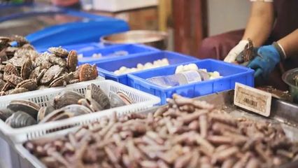 煙臺開海首日！凌晨碼頭沸騰，生猛海鮮批量上岸直供市民餐桌